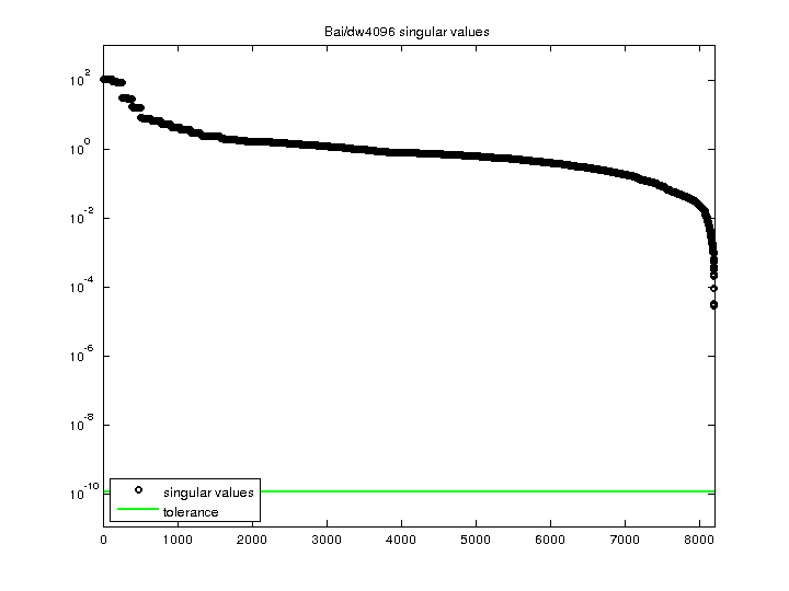 Bai/dw4096 svd