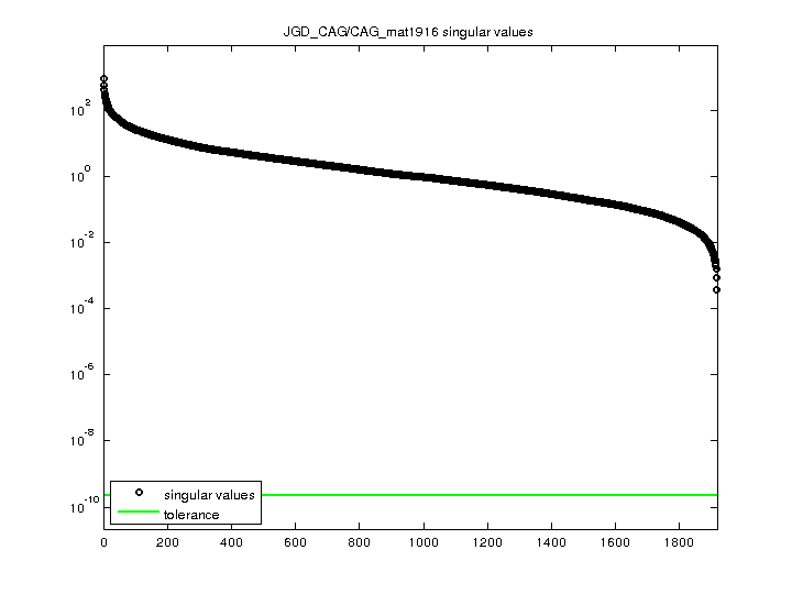 JGD_CAG/CAG_mat1916 svd