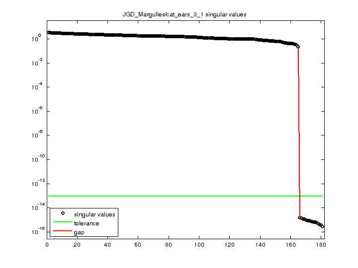 JGD_Margulies/cat_ears_3_1 svd