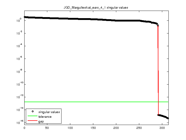 JGD_Margulies/cat_ears_4_1 svd