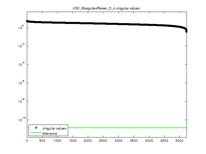 JGD_Margulies/flower_5_4 svd