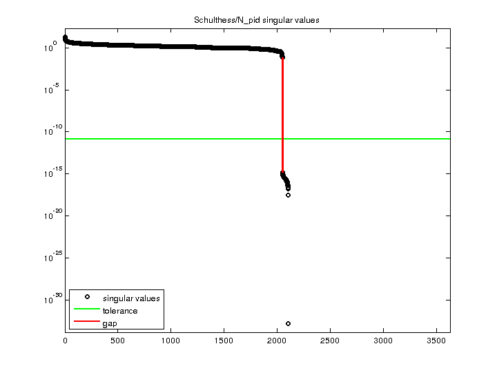 Schulthess/N_pid svd