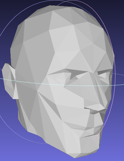 Low-polygon 3D human head model.
