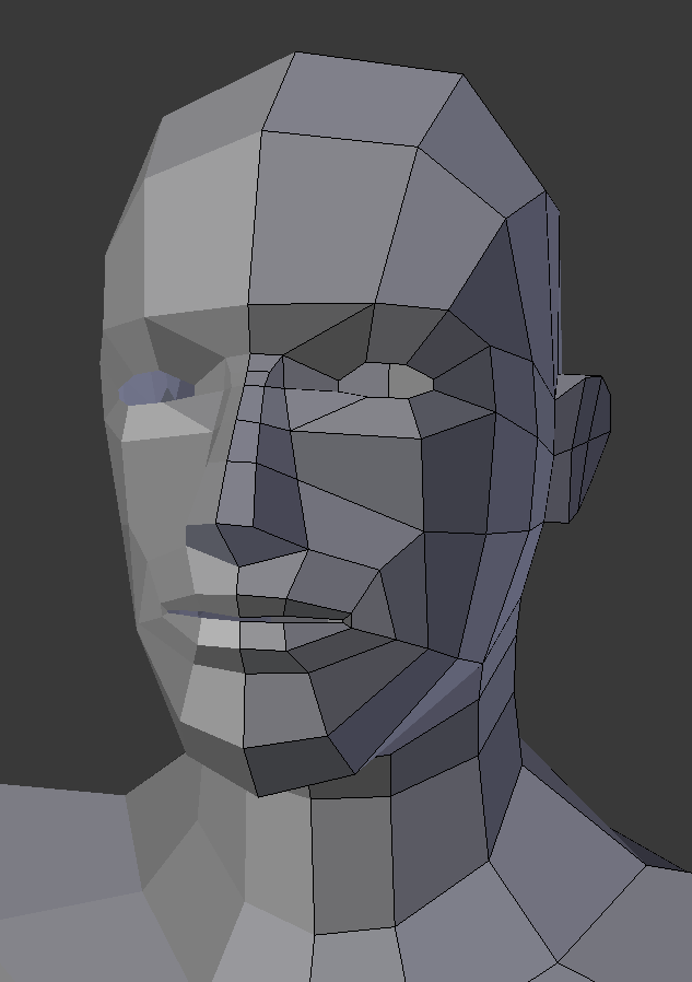 Human male face model used as a Project 3 example.
