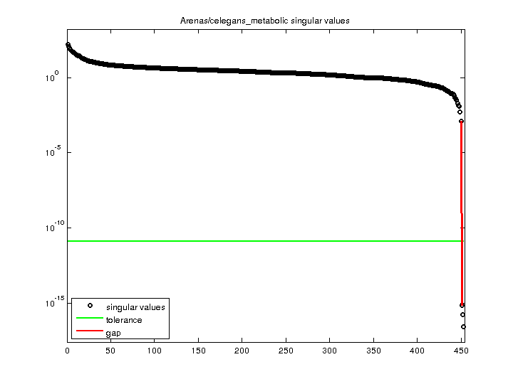 Arenas/celegans_metabolic svd