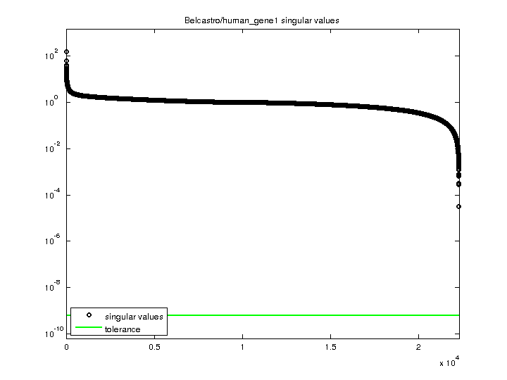 Belcastro/human_gene1 svd