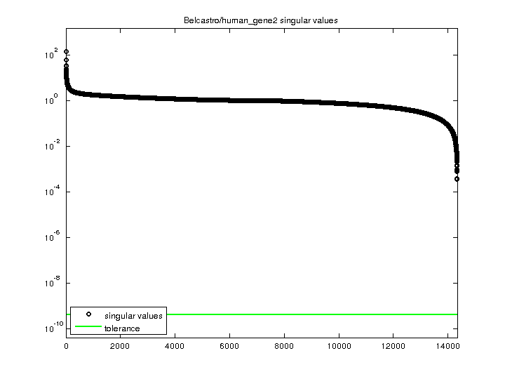Belcastro/human_gene2 svd