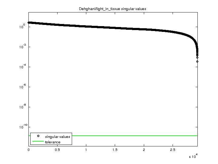 Dehghani/light_in_tissue svd