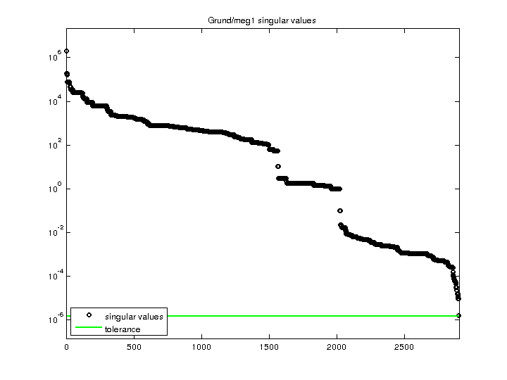 Grund/meg1 svd