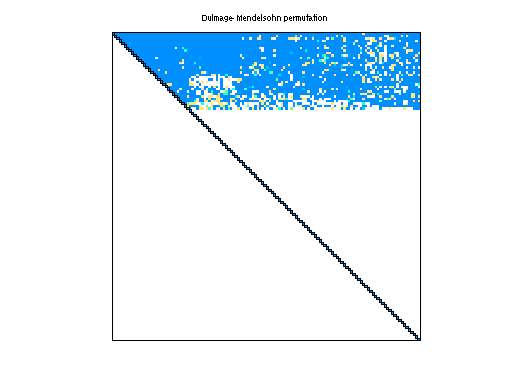 dmperm of Grund/poli4