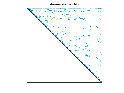 dmperm of Grund/poli_large