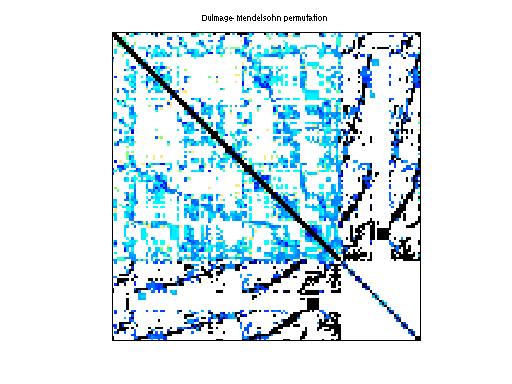 dmperm of Hamm/scircuit