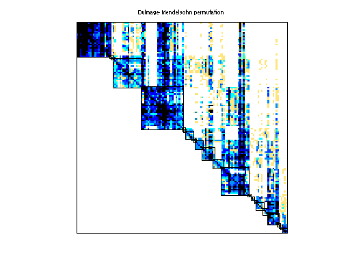 dmperm of JGD_CAG/CAG_mat1916