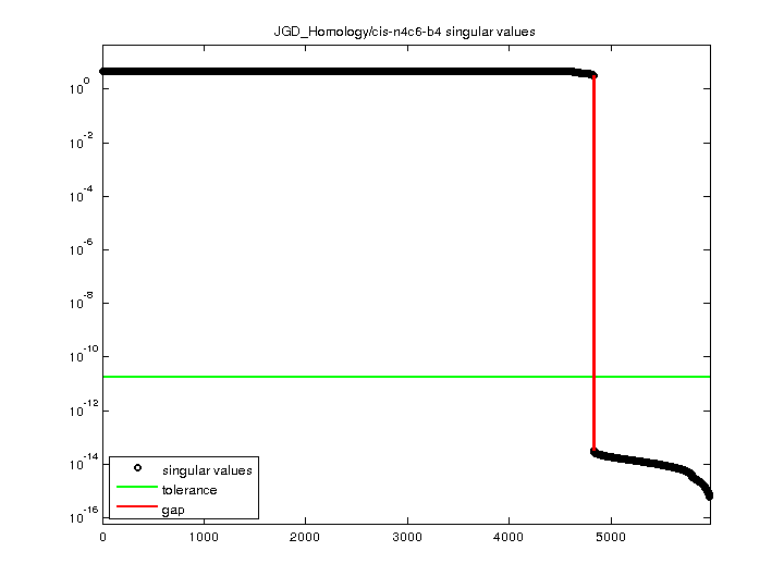 JGD_Homology/cis-n4c6-b4 svd