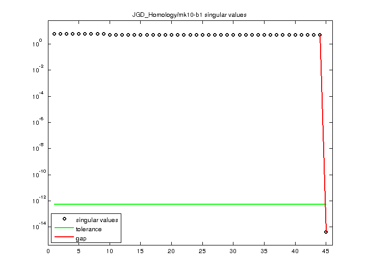 JGD_Homology/mk10-b1 svd