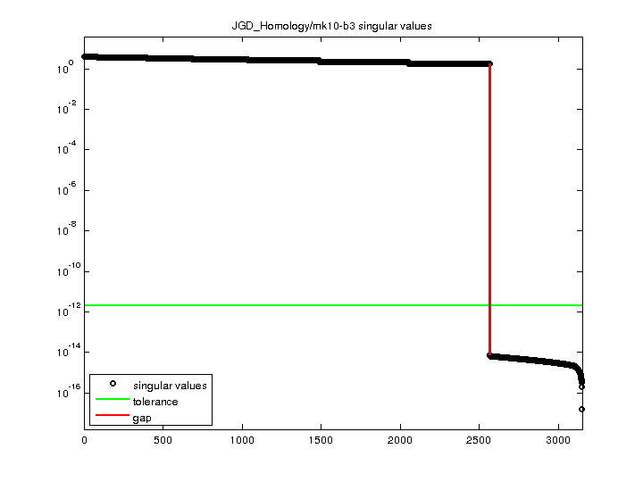 JGD_Homology/mk10-b3 svd