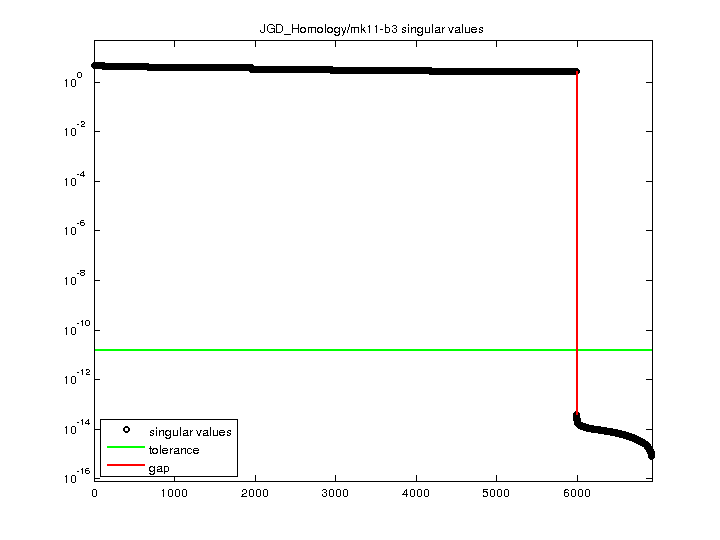 JGD_Homology/mk11-b3 svd