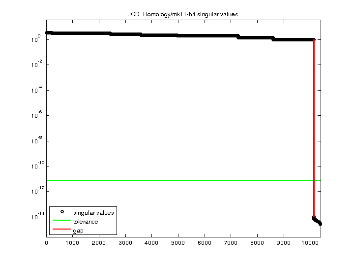 JGD_Homology/mk11-b4 svd