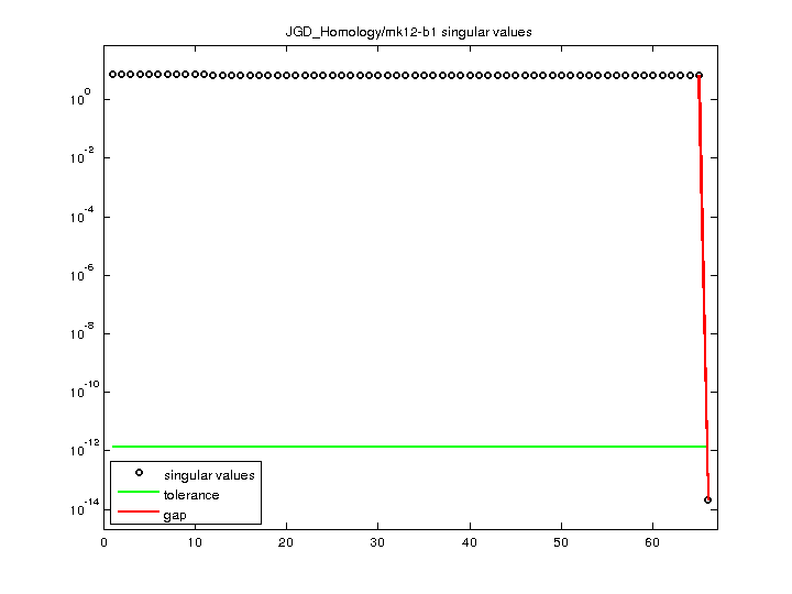 JGD_Homology/mk12-b1 svd
