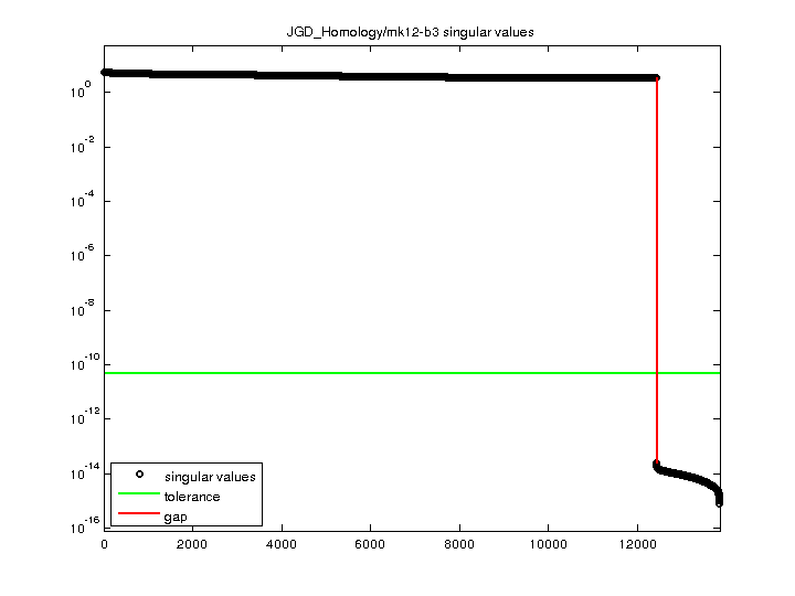 JGD_Homology/mk12-b3 svd