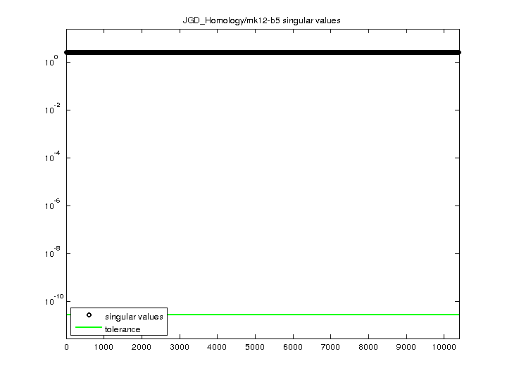 JGD_Homology/mk12-b5 svd
