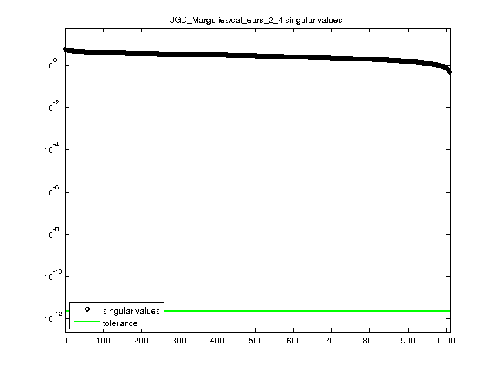 JGD_Margulies/cat_ears_2_4 svd