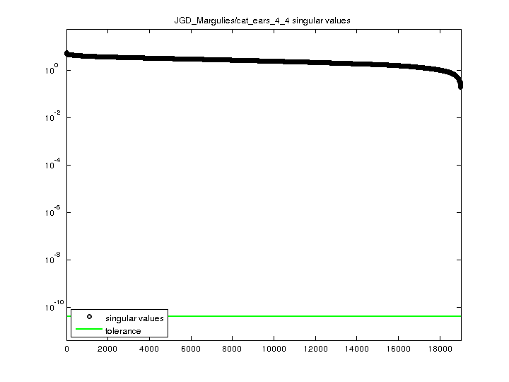 JGD_Margulies/cat_ears_4_4 svd