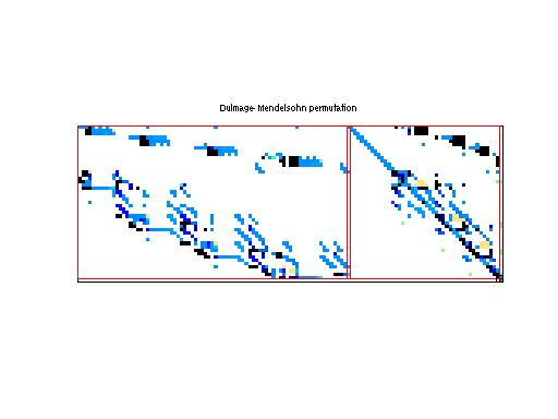 dmperm of LPnetlib/lp_pilot4