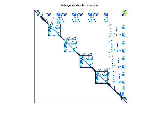 dmperm of Morandini/rotor1