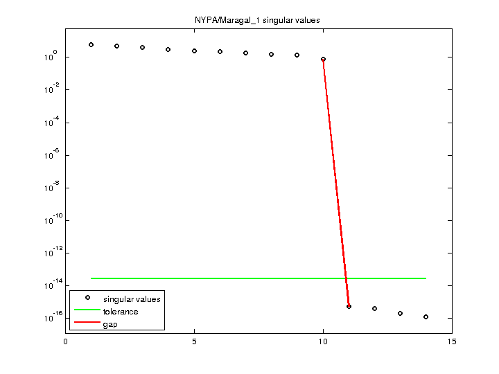 NYPA/Maragal_1 svd
