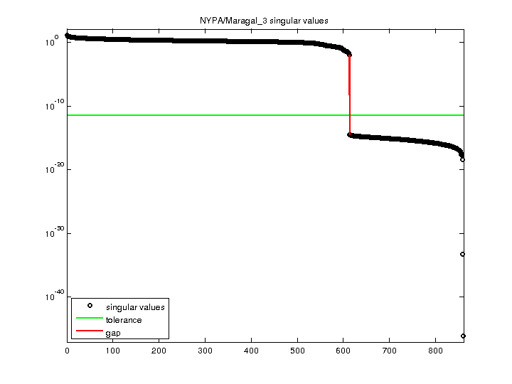 NYPA/Maragal_3 svd