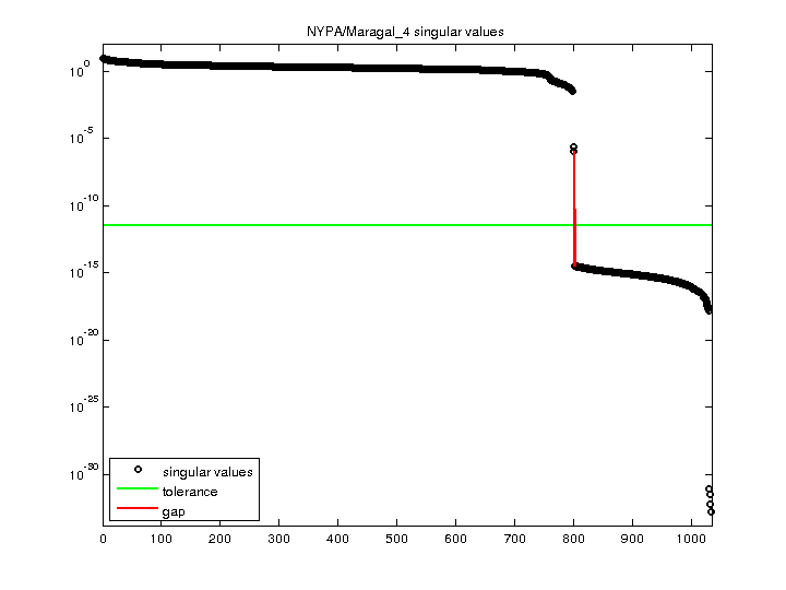 NYPA/Maragal_4 svd