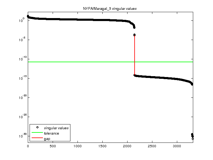 NYPA/Maragal_5 svd