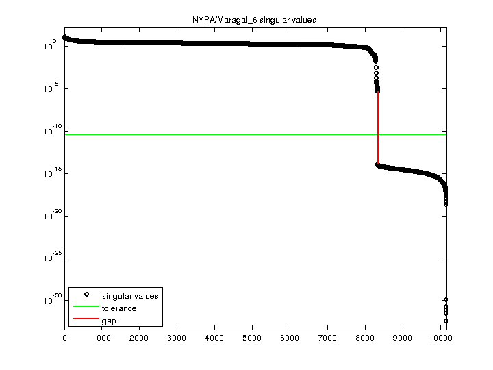 NYPA/Maragal_6 svd