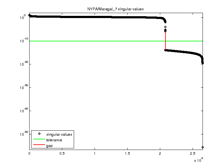 NYPA/Maragal_7 svd