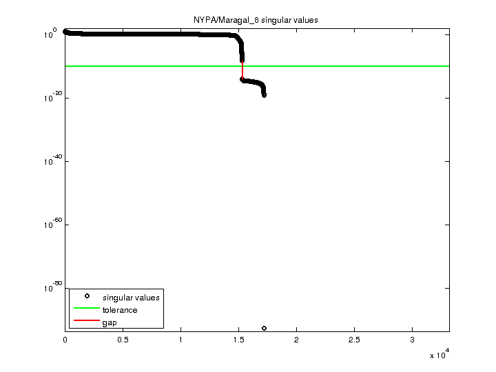 NYPA/Maragal_8 svd