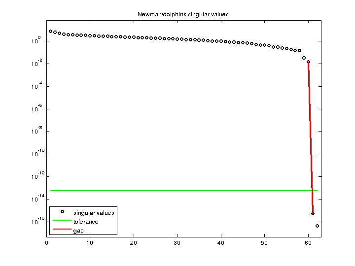 Newman/dolphins svd
