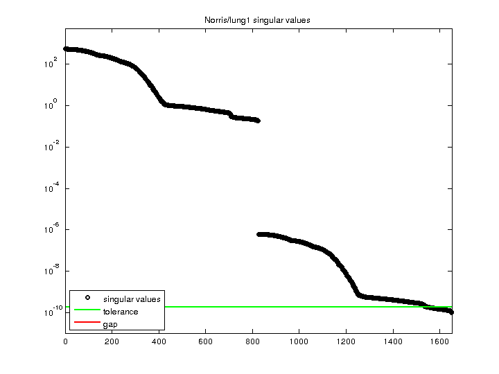 Norris/lung1 svd