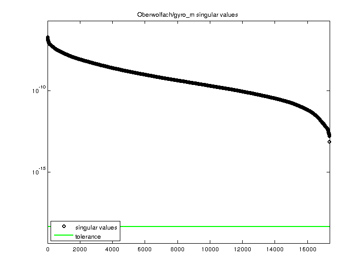 Oberwolfach/gyro_m svd
