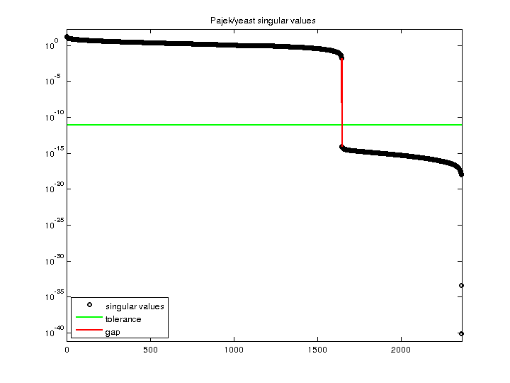 Pajek/yeast svd