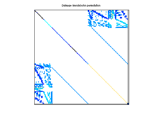dmperm of Schenk_IBMNA/c-21