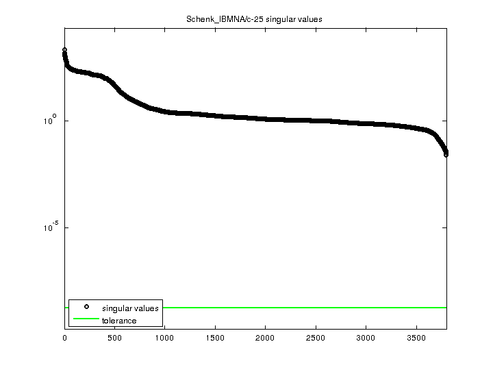 Schenk_IBMNA/c-25 svd