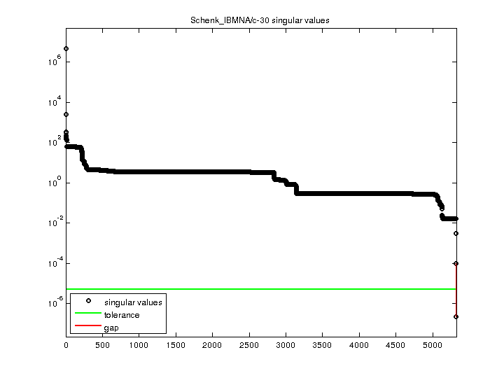 Schenk_IBMNA/c-30 svd