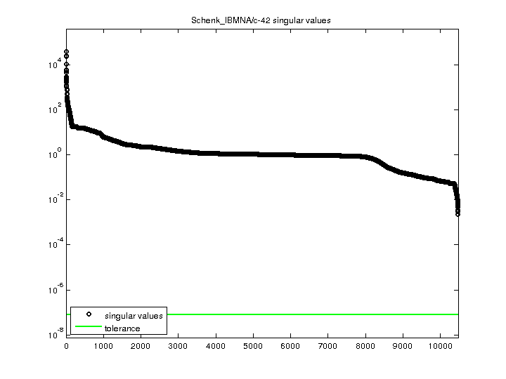 Schenk_IBMNA/c-42 svd