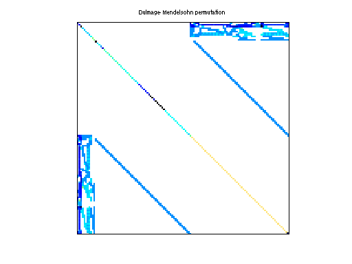 dmperm of Schenk_IBMNA/c-43