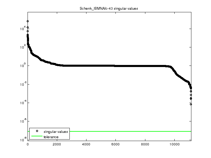 Schenk_IBMNA/c-43 svd