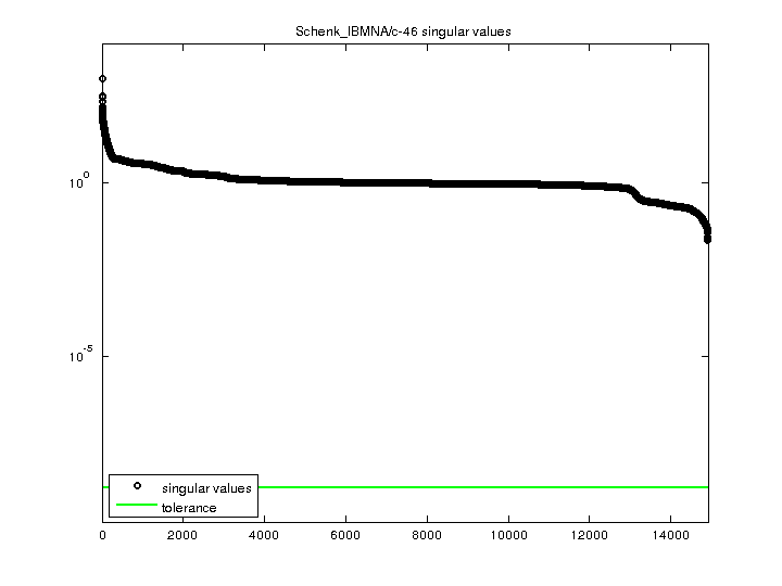 Schenk_IBMNA/c-46 svd