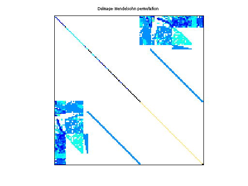 dmperm of Schenk_IBMNA/c-49