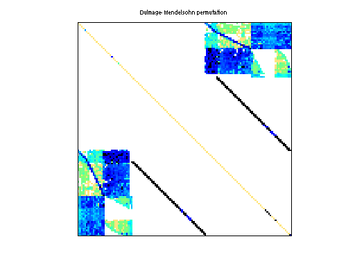 dmperm of Schenk_IBMNA/c-62