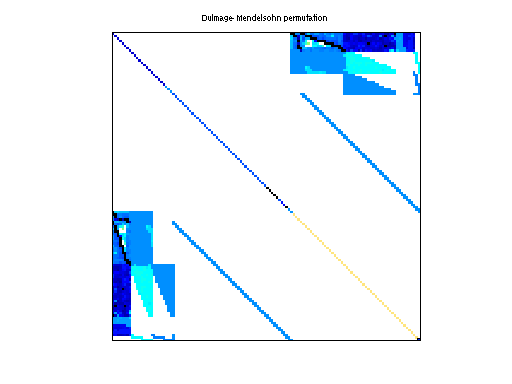 dmperm of Schenk_IBMNA/c-big